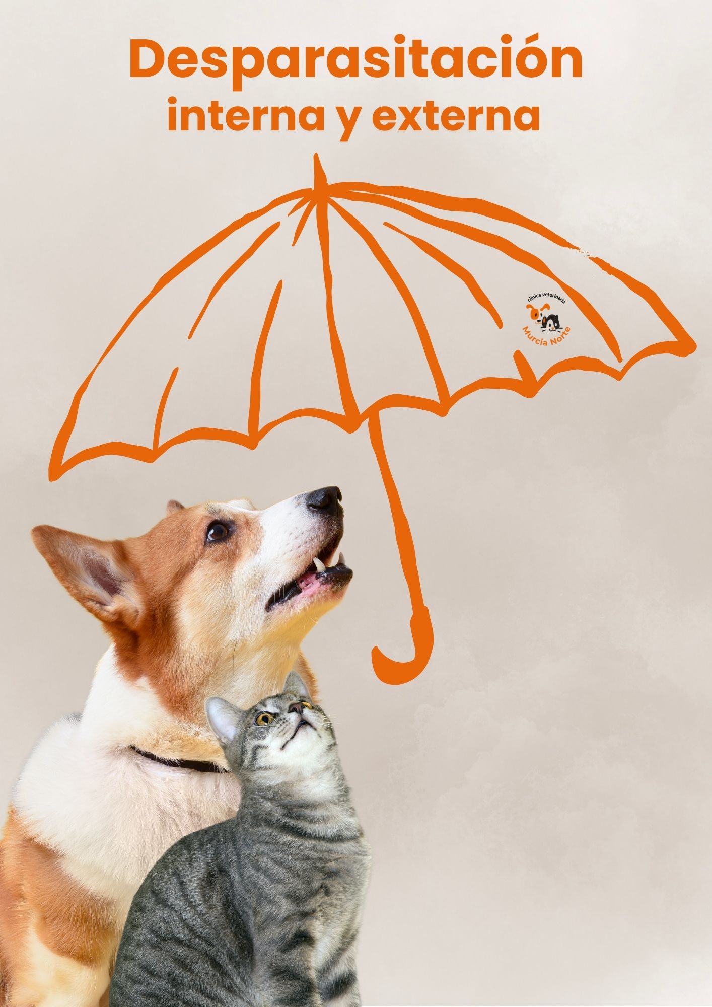 desparasitación interna, desparasitación externa, desparasitar perro, desparasitar gato, parásitos intestinales, gusanos heces